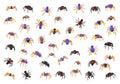 Colored jumping spiders in a 3D illustration Royalty Free Stock Photo