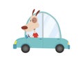 Colored kids transport with cute little dog. Animal driving car. Cartoon animal driver, pets vehicle and happy in funny Royalty Free Stock Photo