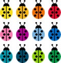 Colored ladybirds