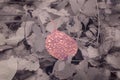 Colored leaf with drops of dew. Infrared photo Royalty Free Stock Photo