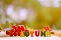 Colored letter words on the table in the garden, hawthorn, the concept of cozy autumn mood, good weather, leaf fall Royalty Free Stock Photo