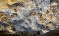 Colored lichens on eroded coastal cliffs of Gozo island, Malta