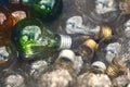 Light bulbs laying on the ground Royalty Free Stock Photo