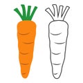 Colored and line icon carrot