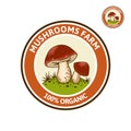 Colored logo with Porcini mushroom on forest glade