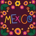 colored mexico banner