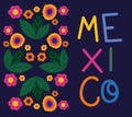 colored mexico card