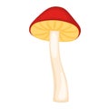 Colored mushroom sketch icon Vector Royalty Free Stock Photo