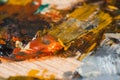 Colored oil paintings brush strokes on a home artist`s palette Royalty Free Stock Photo