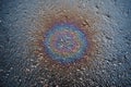 Colored oil stain on the asphalt. A rainbow slick of gasoline. Abstract background Royalty Free Stock Photo