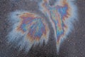 Colored oil stain on the asphalt. A rainbow slick of gasoline. Abstract background Royalty Free Stock Photo