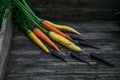 Colored organic carrots over rustic wooden background closeup. Top view Royalty Free Stock Photo