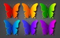 Colored paper butterflies with vector shadow Royalty Free Stock Photo