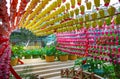 Colored paper lanterns, a Buddhist temple in Seoul
