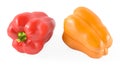 Colored paprika pepper isolated