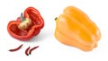 Colored paprika pepper isolated