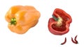 Colored paprika pepper isolated