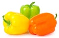 Colored paprika pepper isolated on a white background Royalty Free Stock Photo