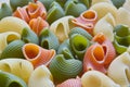 Colored pasta shells Royalty Free Stock Photo