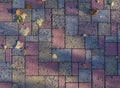 Colored paving slabs with autumn leaves and sun shadows. Royalty Free Stock Photo