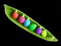 Colored Peapod Royalty Free Stock Photo