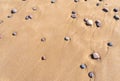 Colored Pebble Beach Texture Background, Sand and Rocky Shore Pattern, Red Morocco Beach, Africa Royalty Free Stock Photo