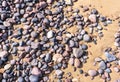 Colored Pebble Beach Texture Background, Sand and Rocky Shore Pattern, Red Morocco Beach, Africa Royalty Free Stock Photo