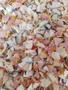 Colored pencil crayon wood shavings up close for texture and detail and as a background Royalty Free Stock Photo