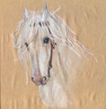 Colored pencil drawing of a white horse.Beautiful eyes.