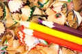 Colored pencil shavings Royalty Free Stock Photo