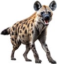 Colored-pencil sketch of a hyena. AI-Generated.