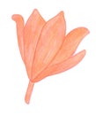 Colored pencils drawing Red Orange Lily flower Royalty Free Stock Photo