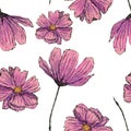 Colored pencils drawing sketch illustration botany pink purple flower floral petal spring white background seamless pattern textur