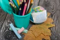 Colored pencils in a pencil holder. Nearby is a globe with a medical mask, crayons and dried maple leaves. Academic year during Royalty Free Stock Photo