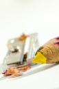Colored pencils sharpened Royalty Free Stock Photo