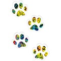 Colorful pet paw prints isolated on white background Royalty Free Stock Photo