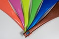 Colored pigments for the plastic industry