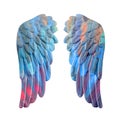 Colored plaster wings Royalty Free Stock Photo