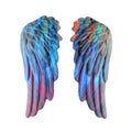 Colored plaster wings Royalty Free Stock Photo