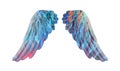 Colored plaster wings Royalty Free Stock Photo