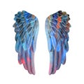 Colored plaster wings Royalty Free Stock Photo