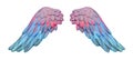 Colored plaster wings Royalty Free Stock Photo