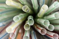 Colored plastic straws