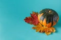 Colored pumpkin on aquamarine shadowless background Royalty Free Stock Photo