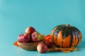 Colored pumpkin on aquamarine shadowless background Royalty Free Stock Photo