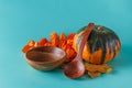 Colored pumpkin on aquamarine shadowless background Royalty Free Stock Photo