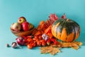 Colored pumpkin and fapples on aquamarine shadowless background Royalty Free Stock Photo