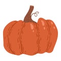 Colored pumpkin hand drawn vector graphic illustration. Colorful drawing autumn vegetable whole, slice and halves