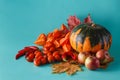 Colored pumpkin shadowless background Royalty Free Stock Photo