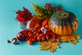 Colored pumpkin and viburnum on aquamarine shadowless background Royalty Free Stock Photo